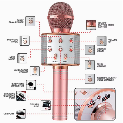 Karaoke Microphone with Speaker – Sing Anytime, Anywhere!