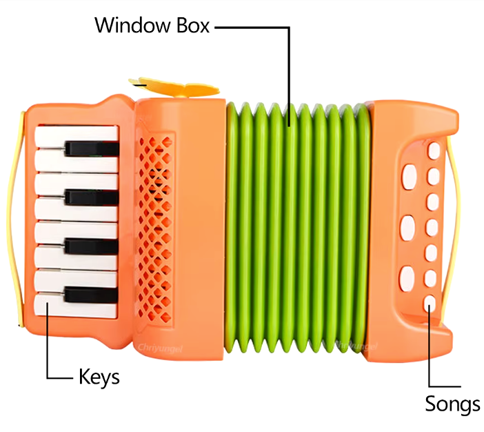 Kids Accordion – A Mini Maestro’s Musical Dream!