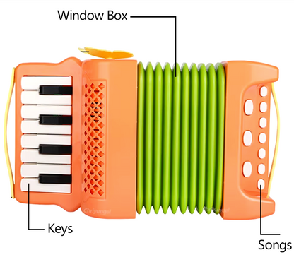 Kids Accordion – A Mini Maestro’s Musical Dream!