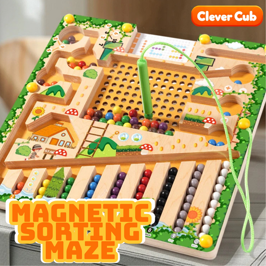 Magnetic Sorting Maze: A Colorful Learning Adventure!