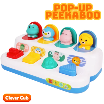 Pop-Up Peekaboo  – Endless Fun &amp; Surprises!